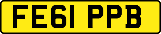 FE61PPB