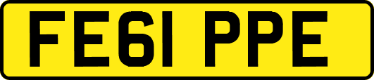 FE61PPE