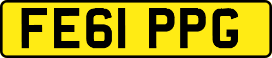 FE61PPG
