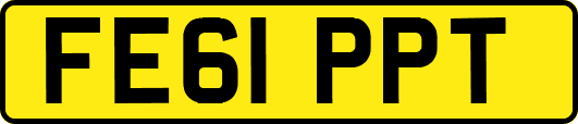 FE61PPT