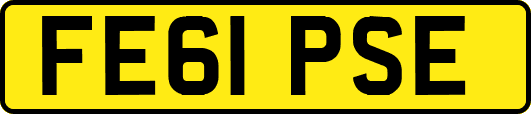 FE61PSE