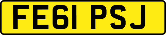 FE61PSJ
