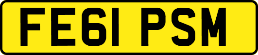 FE61PSM