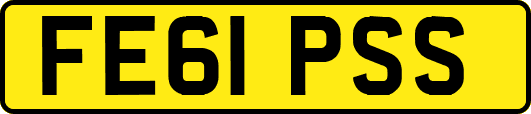 FE61PSS