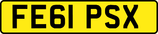FE61PSX