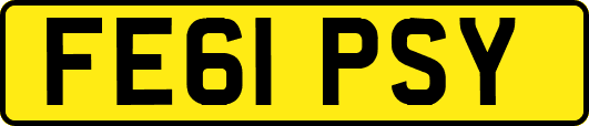 FE61PSY