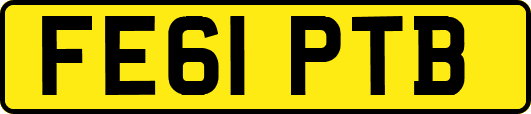 FE61PTB