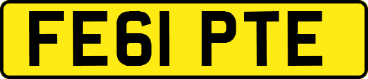 FE61PTE