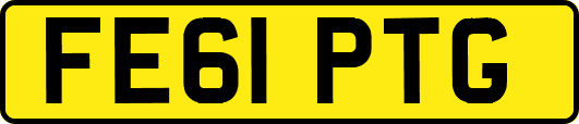 FE61PTG