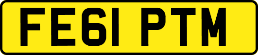 FE61PTM