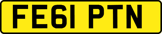 FE61PTN