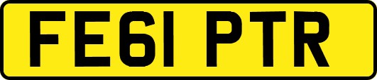 FE61PTR