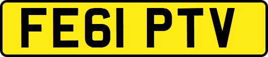 FE61PTV