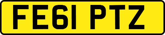 FE61PTZ