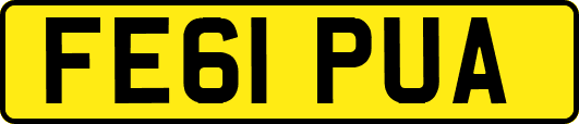 FE61PUA