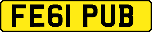 FE61PUB