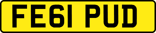 FE61PUD