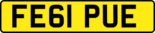 FE61PUE
