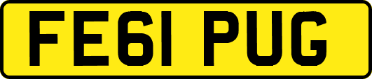 FE61PUG