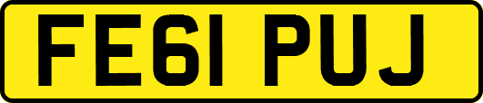 FE61PUJ