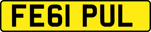 FE61PUL
