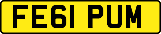 FE61PUM