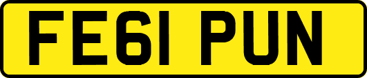 FE61PUN
