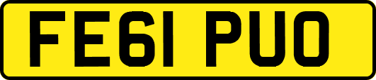 FE61PUO