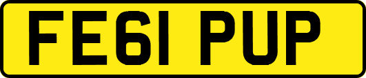 FE61PUP