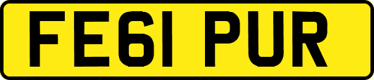 FE61PUR