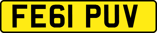 FE61PUV