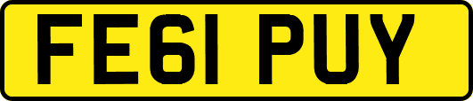 FE61PUY
