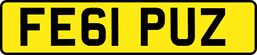 FE61PUZ