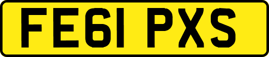 FE61PXS