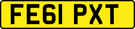 FE61PXT