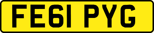 FE61PYG