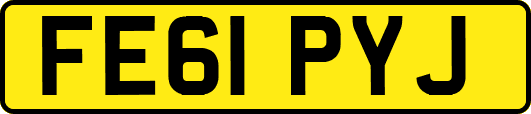 FE61PYJ