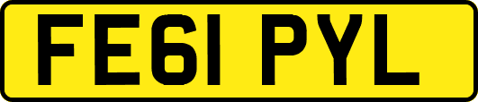 FE61PYL