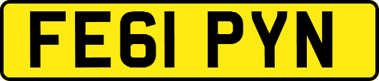 FE61PYN