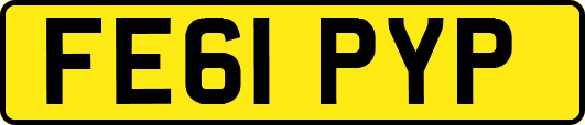 FE61PYP