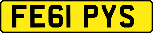 FE61PYS