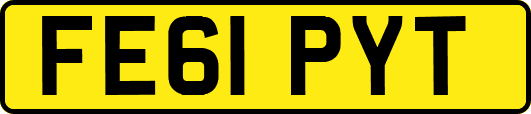 FE61PYT