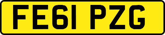 FE61PZG