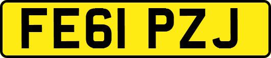 FE61PZJ