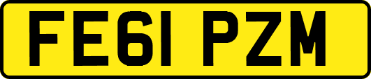 FE61PZM