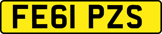 FE61PZS