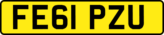 FE61PZU