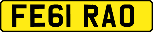 FE61RAO