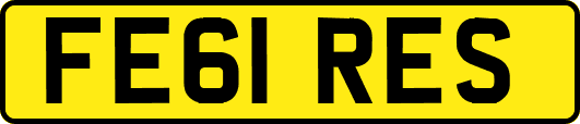 FE61RES