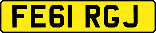 FE61RGJ